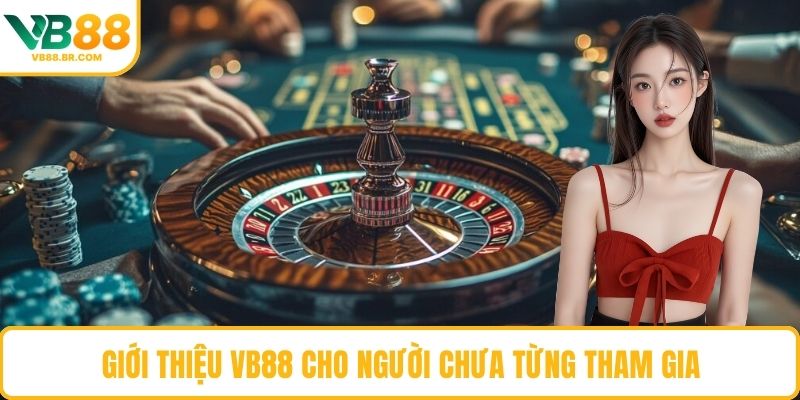 Giới thiệu VB88 cho người chưa từng tham gia